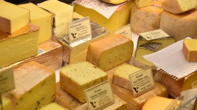 Ogólnopolskie Święto Sera w Olsztynie: weekend pełen smaków w Kortowie